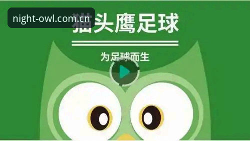 猫头鹰体育平台APP安装使用教程：从下载到玩转网球数据的完整攻略